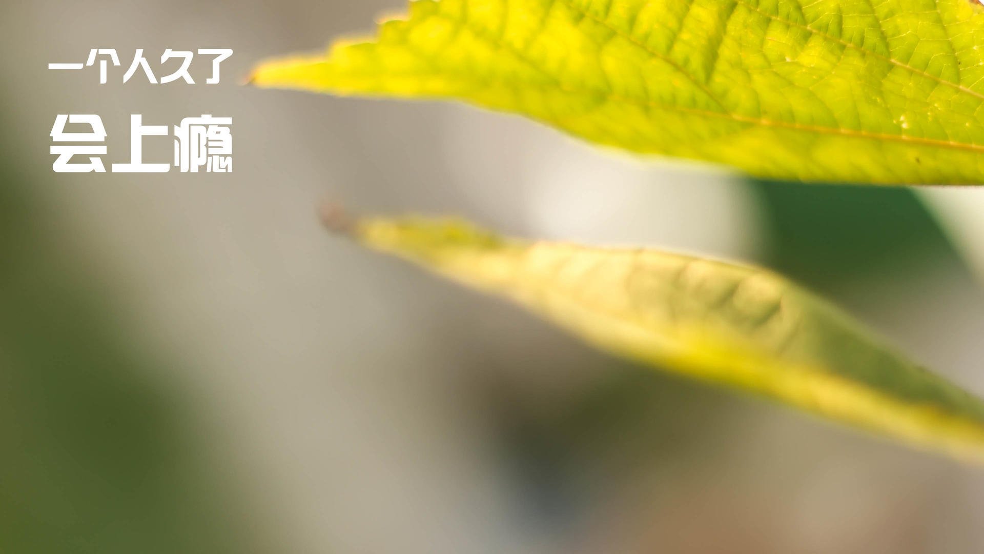 九游体育网站-_全民健身跑：运动点亮城市生活_，全民健身运动项目明细