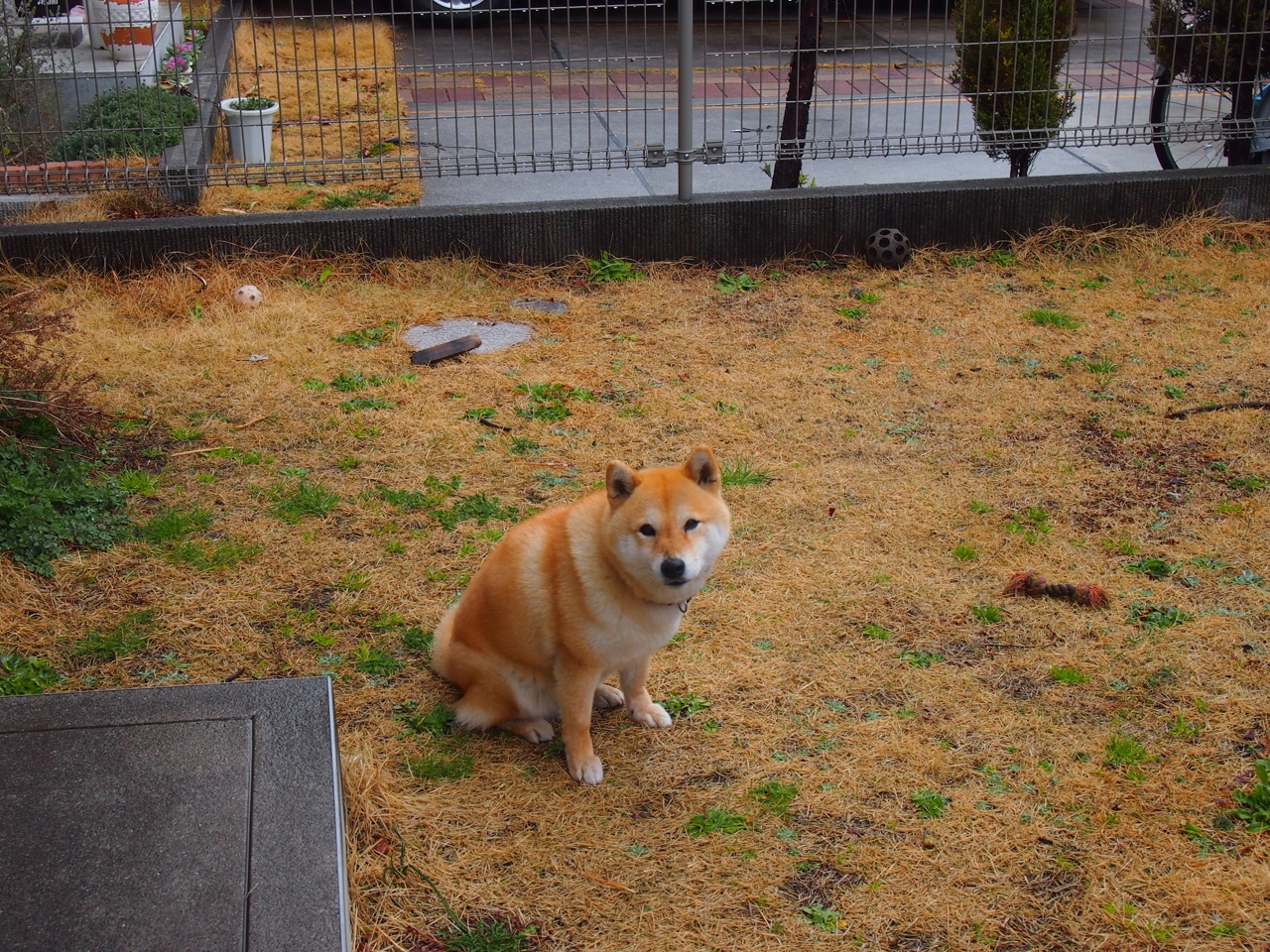 _穿越城市古巷：跑步探索历史文化_，跑步小镇