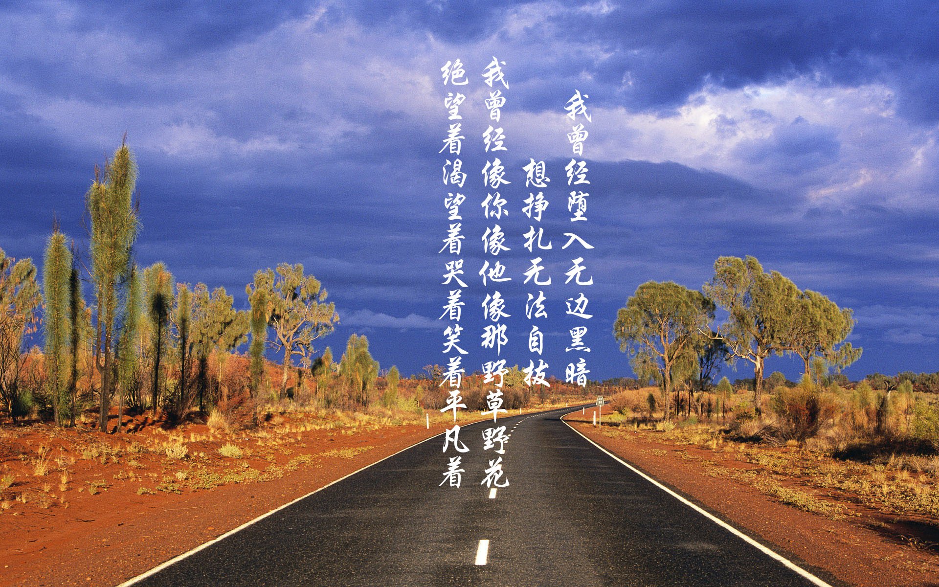 “雪域战神：冰天雪地中的霸者归来”，雪域兵王 百科