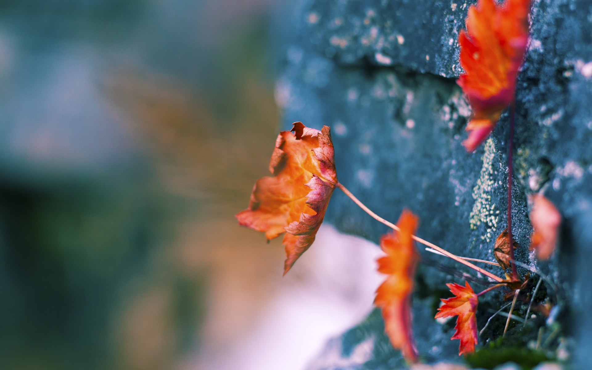《王者荣耀线上季后赛，黑马强势崛起》，王者荣耀线上赛是什么意思