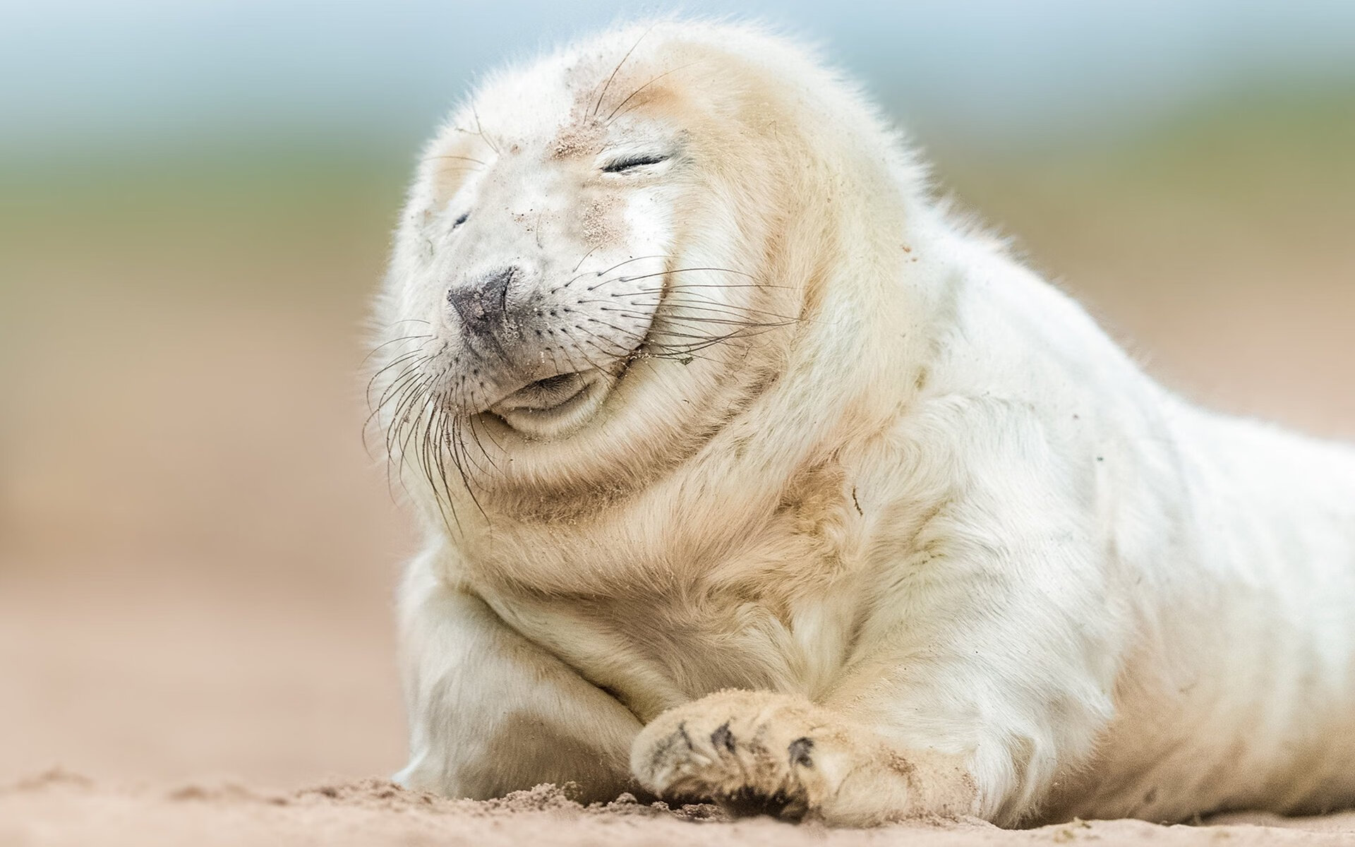 【名将访谈】奥沙利文：我如何通过训练保持状态？，奥沙利文的技术