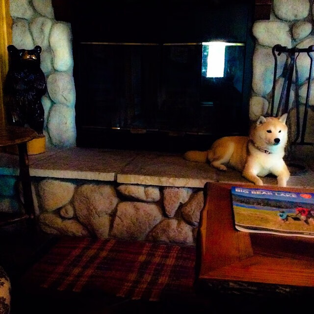 Jiuyou Sports-全国篮球联赛，青年新星闪耀赛场，中国青年篮球联赛叫什么